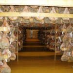 Drying room for Ham
